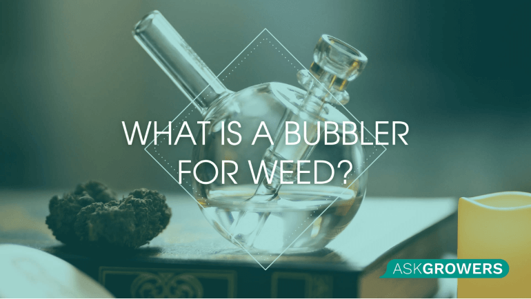 How to Use a Bubbler Pipe for Weed